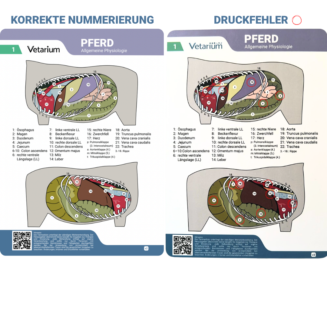Ersatzkarte "Pferd Allgemeine Physiologie"