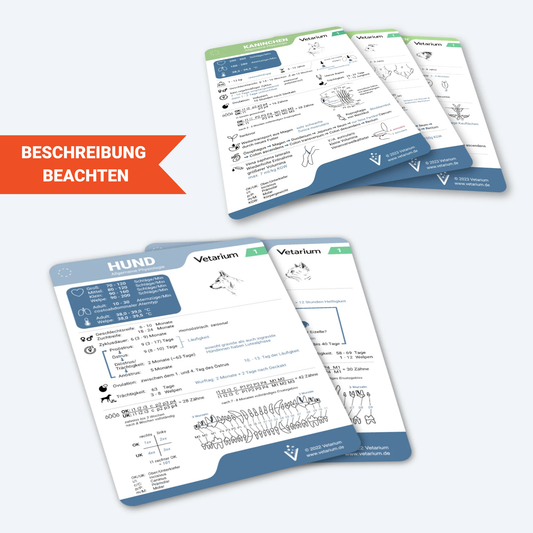 Set Klein- und Heimtiere "Allgemeine Physiologie" (5 Lernkarten)